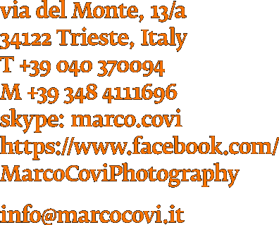 via del Monte 13/a, 34122 Trieste, Italy. 39 348 4111696 skype: marco.covi